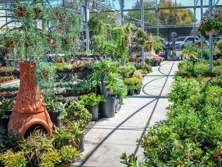 植物好きのためのロサンゼルスガイド | Discover Los Angeles